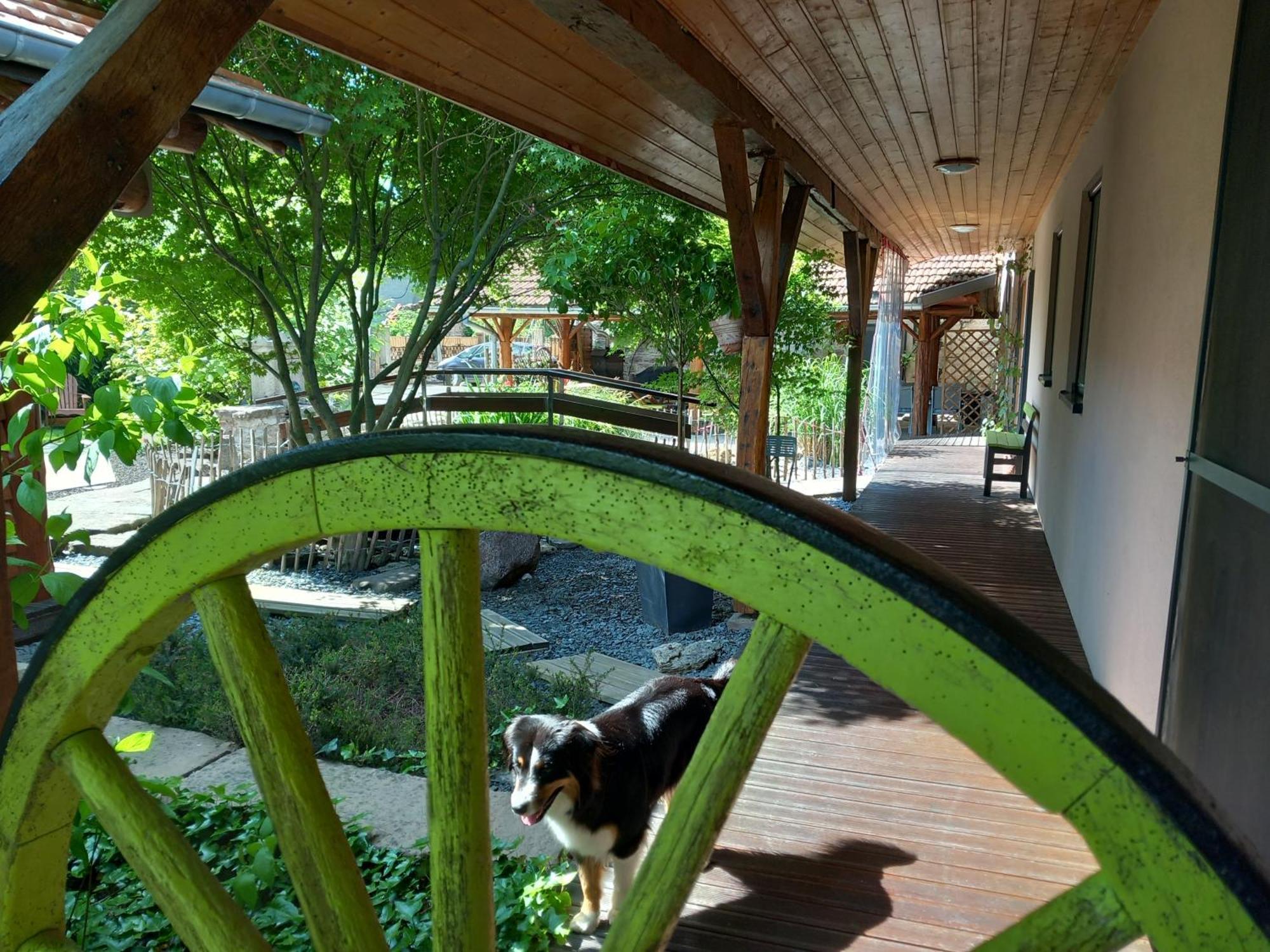 Bed and Breakfast Hagebuche Brouviller Экстерьер фото